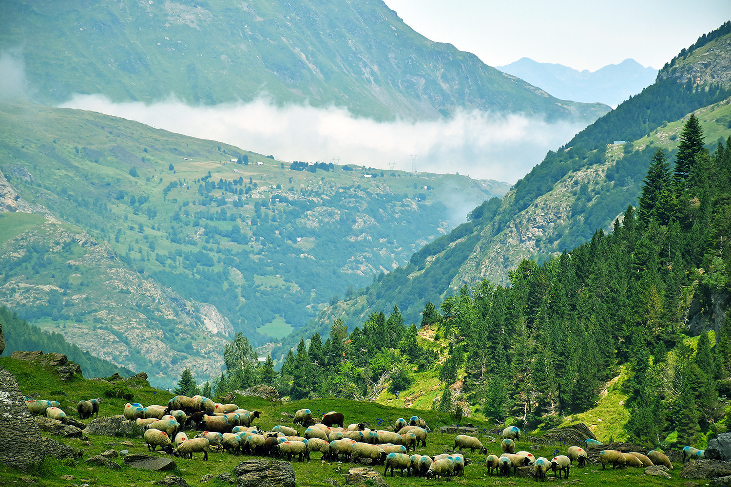 汉中|6招全概括，武装你的冬季野钓（精髓）