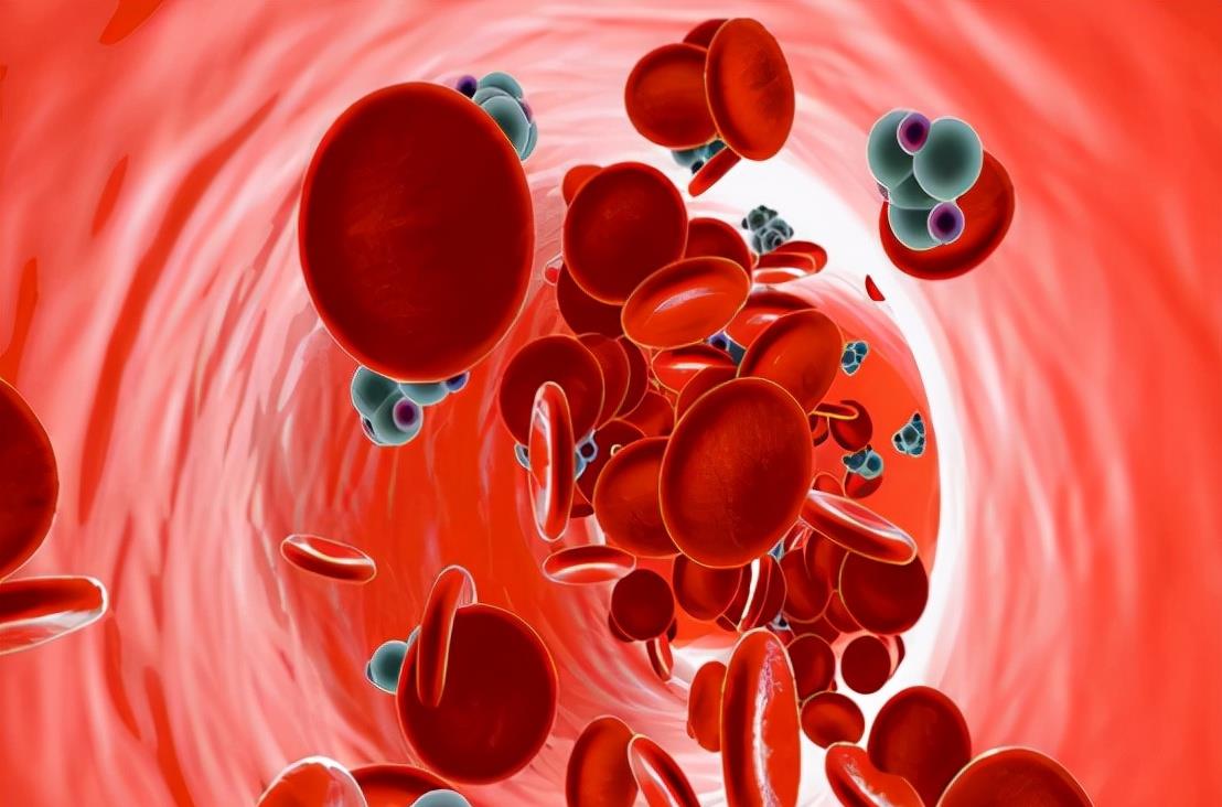 痔疮|降脂必看，得了高血脂症和动脉粥样硬化，该怎么办？