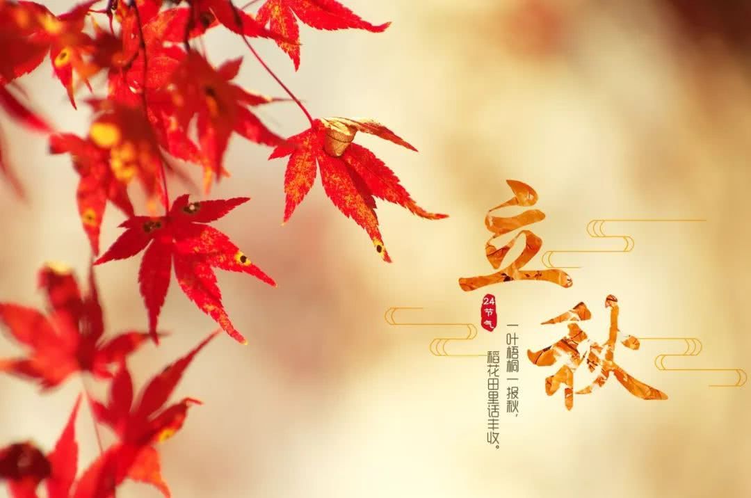 青蓝中医健康|立秋之后这样吃，赶走秋燥不用愁！