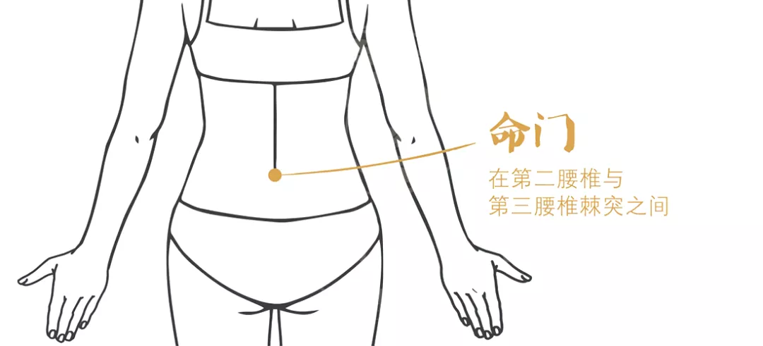 按摩 “饿瘦”不如“补瘦”！中医告诉你：不补脾，你就减不了肥！