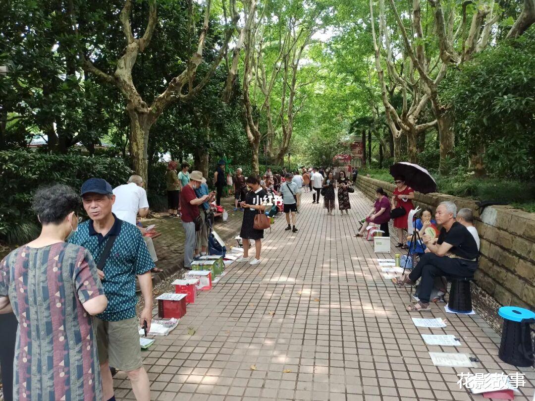 花影故事|细思之后我才明白：那些催婚的父母，一个比一个心疼儿女