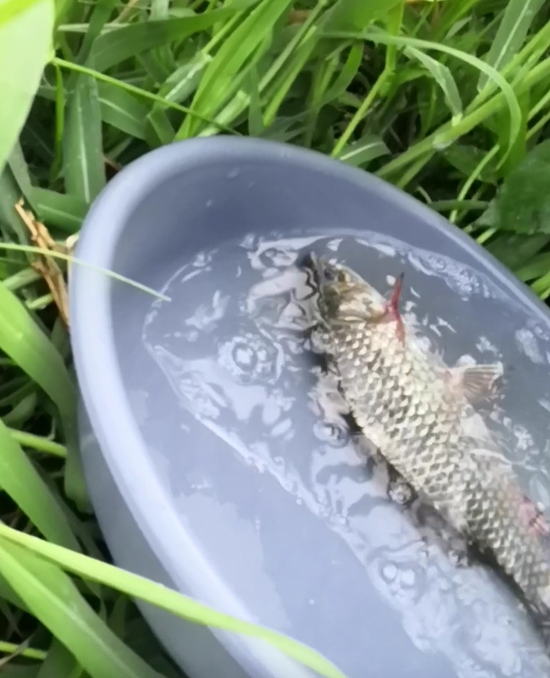 |冬季钓鱼十有八九空军打龟，成了钓鱼人的问题。