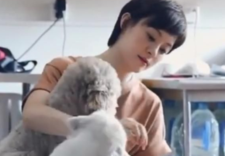 王力宏|等等小花摆摊义卖，不惧寒冷坚守摊位，小花遗传孙俪大长腿成亮点