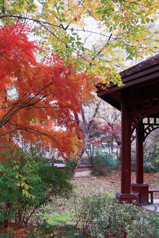 青岛市|老四方的秘密花园，不要太好玩