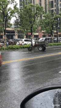 “男子四千公里奔现新疆漂亮姑娘”网友神评：“削肾客的救赎”