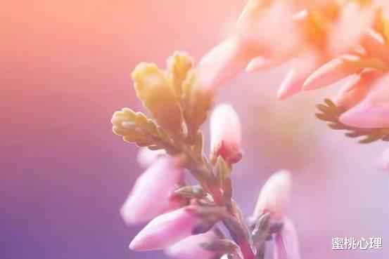 蜜桃心理 在交往中,遇到对方不主动,聪明的人会样做
