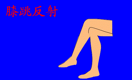  初中生物：中学生物精美动图GIF，边看边学！