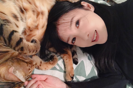 十万个家居为什么|53岁周慧敏现状：定居加拿大生活节俭，家中没有吊顶只刷白墙