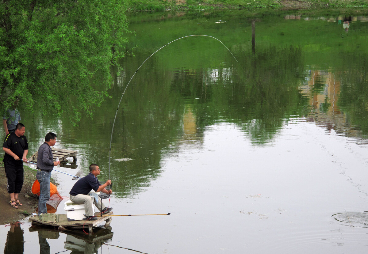浙江省|一代代钓鱼人传下来的经验与技巧，关于钓鱼的口诀，你知道多少？