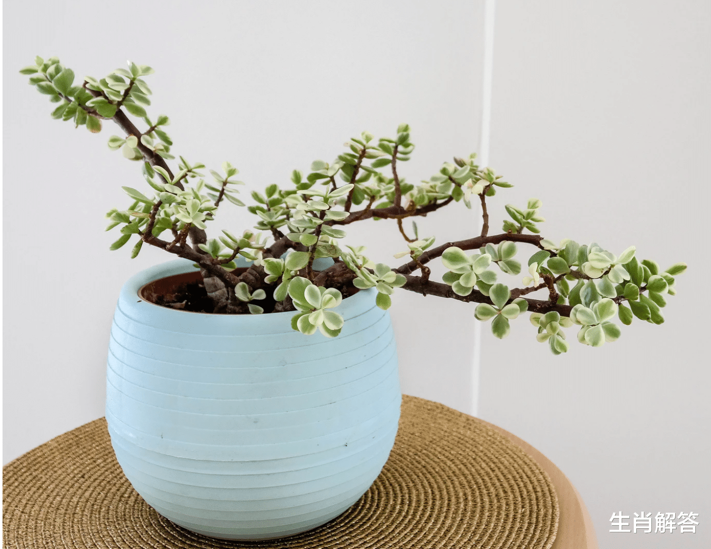 旧爱|6月底，重修旧好，难忘挚爱，再续良缘，3星座牵手前任，执手相约