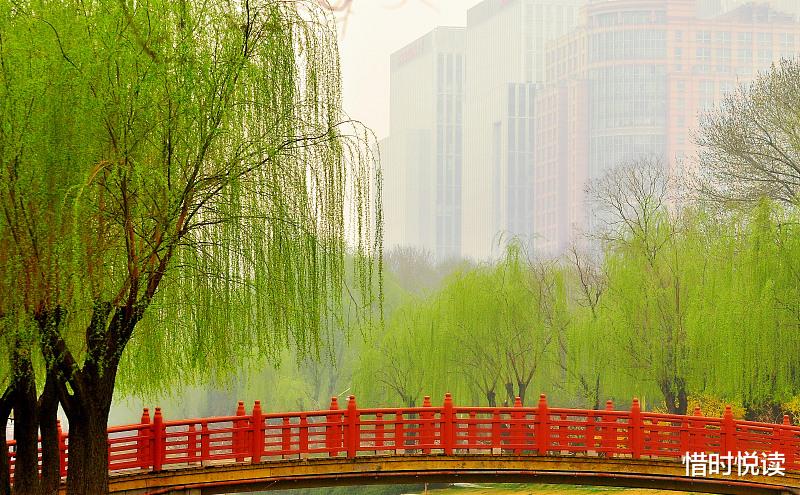 白居易|消除烦恼,这件事没人可以帮得了你,只有你自己