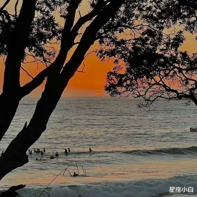 星座小白 宁愿一起吵架也不愿意冷战的星座