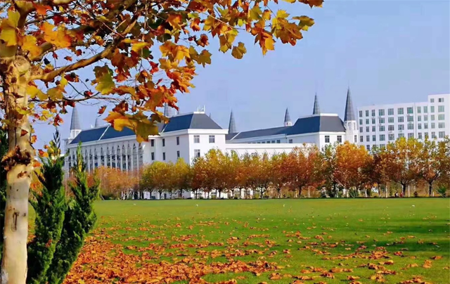 月月读唐诗|好消息！山东这3所高职院校刚升级本科不久，低分捡漏机会很大