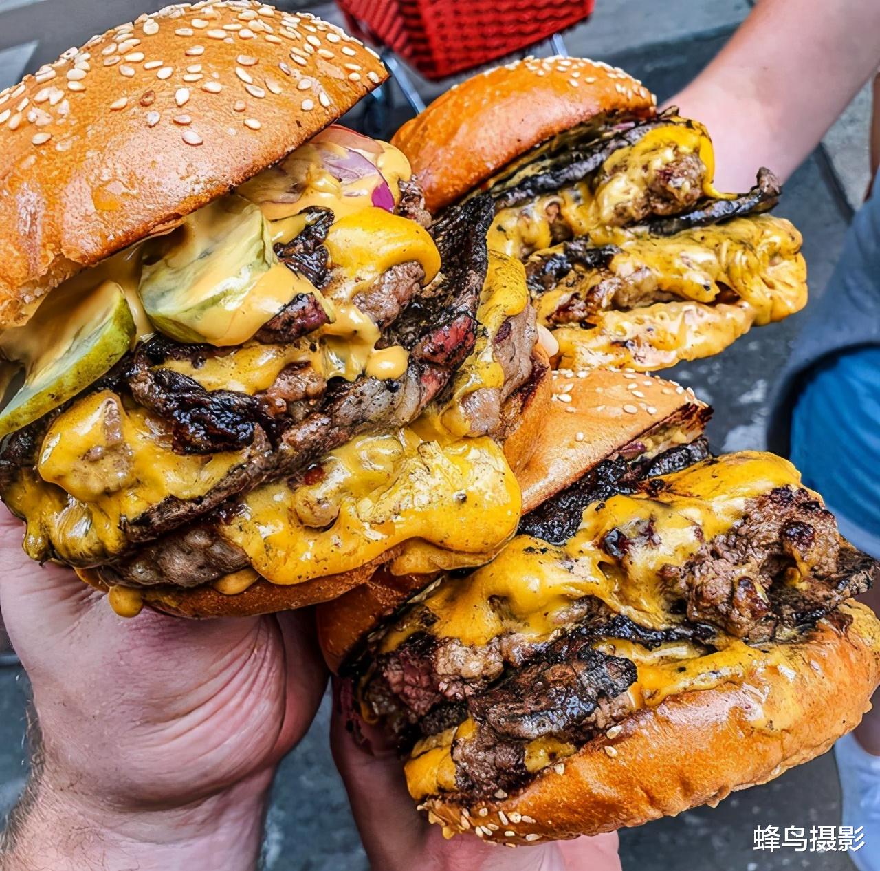 科学家 35张活久未见的照片，两只袋鼠打架太像人，一只勒住另一只大脖子