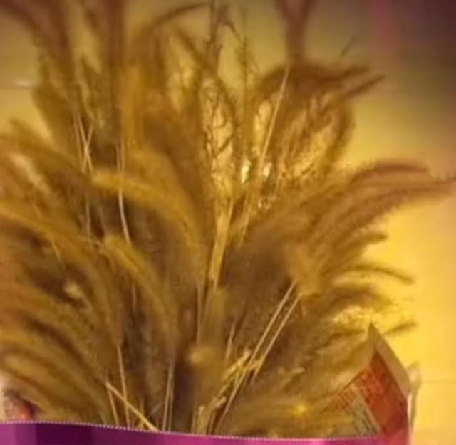 窦靖童|39岁高云翔的悲哀，足球梦碎，爆红后陷入风波，至今无法翻身