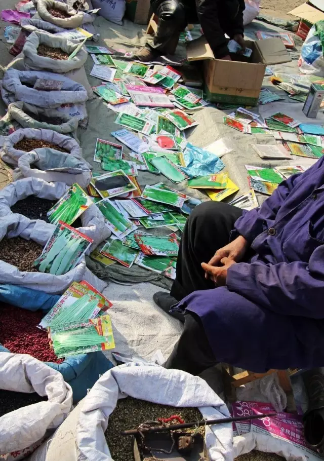 燕赵大小事 邯郸又两村庙会永久取消!