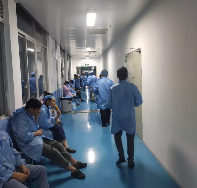 |我35岁，被领导和同事孤立半年后，终于下定决心辞职，悔不当初