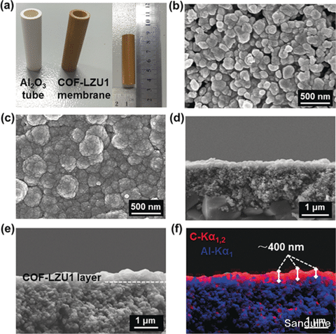 氧化铝 基于共价有机骨架 COF-LZU1 的高通量膜用于通过纳滤进行选择性染料分离