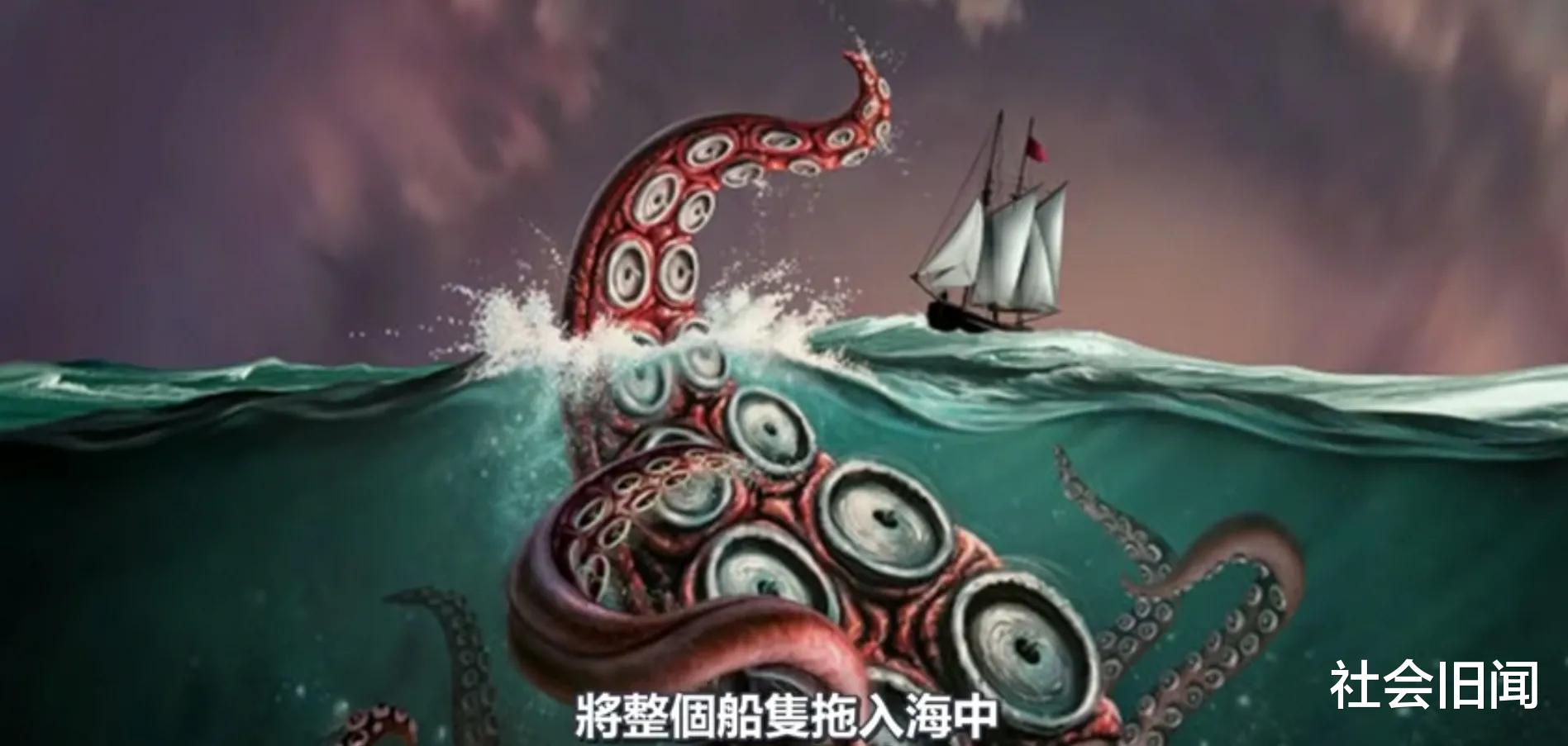 南极疑似存在超自然生物,一种海洋巨兽在此潜伏,饿了就捕食抹香鲸