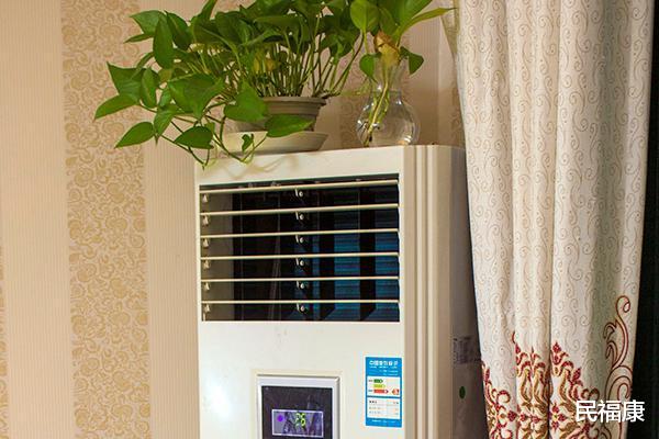 三伏天|三伏天怎么养生？ 记住几条建议，或能助你健康度过酷暑、少生病