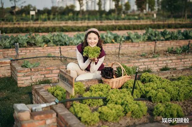 刘芳菲|央视主持刘芳菲胖了真好看,穿旗袍打扮富态,三圈赘肉照样有腰线