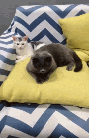 24小时的爱|女孩穿罩衣出门，“一马平川”的后背，是要留出来拔罐？