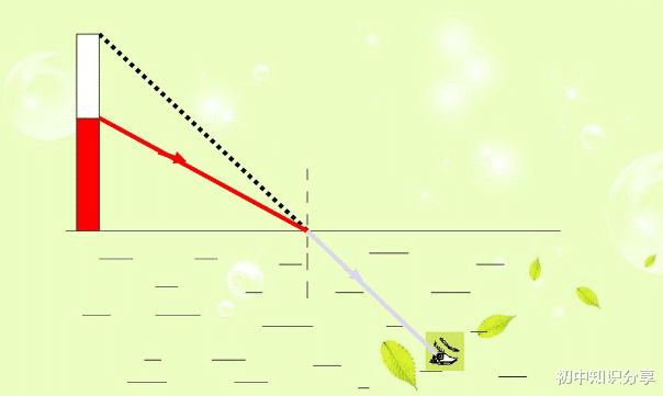 光的折射易错点【初二物理上】