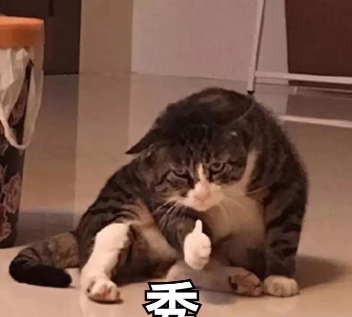 言冰云|承认了！和当红小花当剧组夫妻，现在东窗事发互泼脏水？！