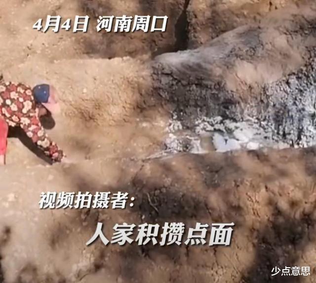 少点意思 河南周口：75岁老人住处被孩子破坏，积攒的口粮全没了，救助站回应了！