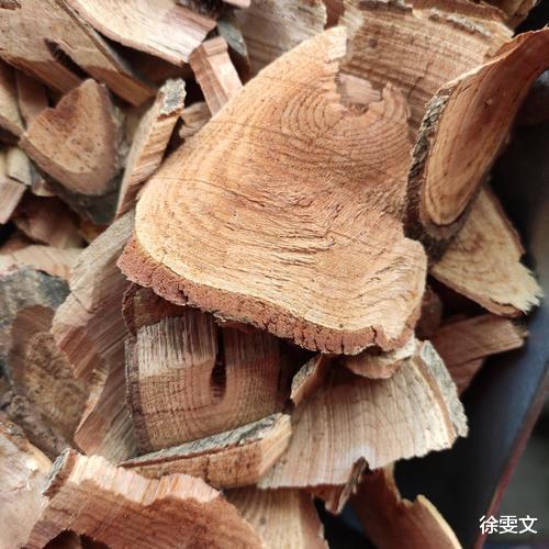 长寿|中药又立功？研究发现：雷公藤含有“靶向药”，可精准攻击癌细胞