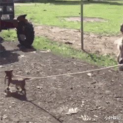 小叶娱记|神回复：请问电是哪个地方的牌照？网友：电信一区