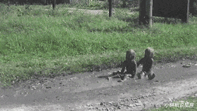 小琳解说星座|请问哪里违章了，至今都没想明白，网友神评扎心了老铁哈哈哈