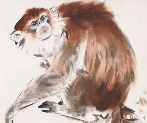 生肖|哪几个生肖的人，过去几年浑浑噩噩，未来一年奋发图强，节节高升