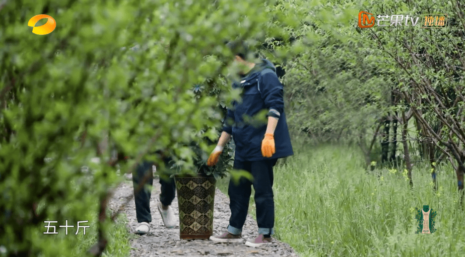 李诞|李诞连钓鱼都觉得累，抱怨没睡午觉，被彭昱畅怼：都被你哈哈没了
