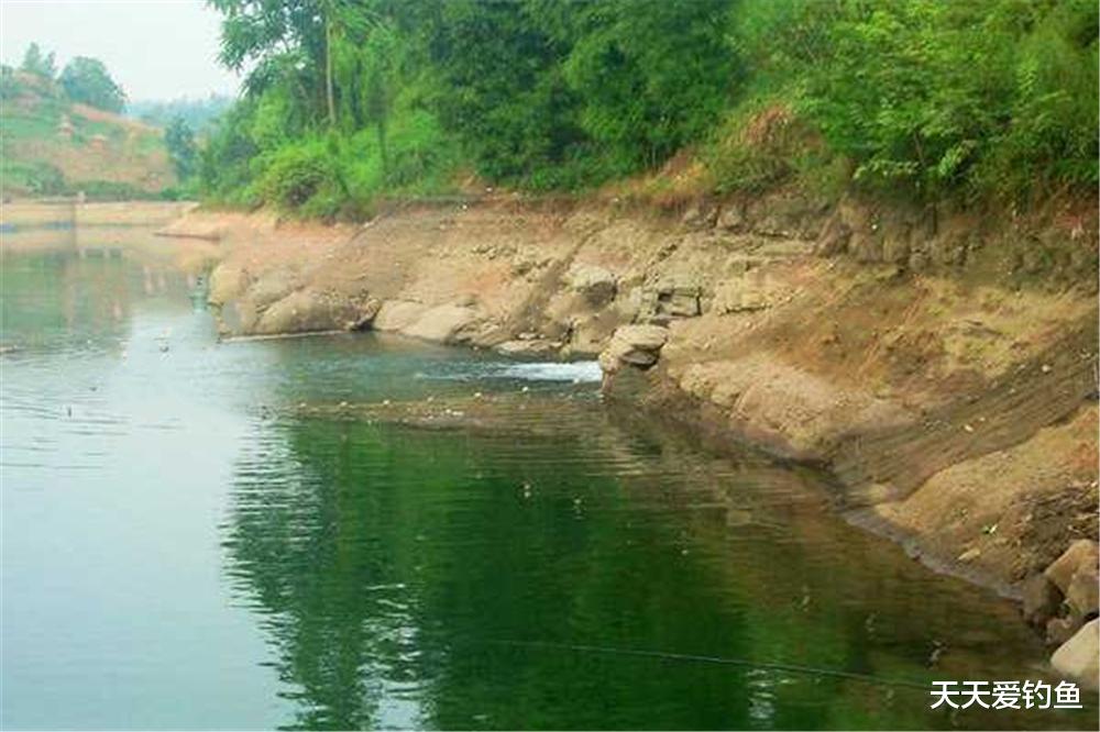 |夏季钓鱼,钓位别选错,出鱼的位置主要有这些