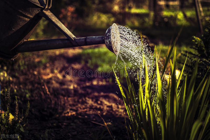 火星 你见过火星的内部结构吗？是否与地球一样? 生命是否来源于火星？