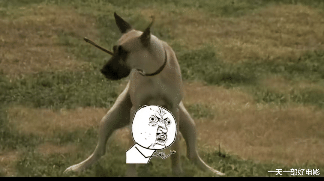 电影|不要欺负老实人,否则你连道歉的机会都没有