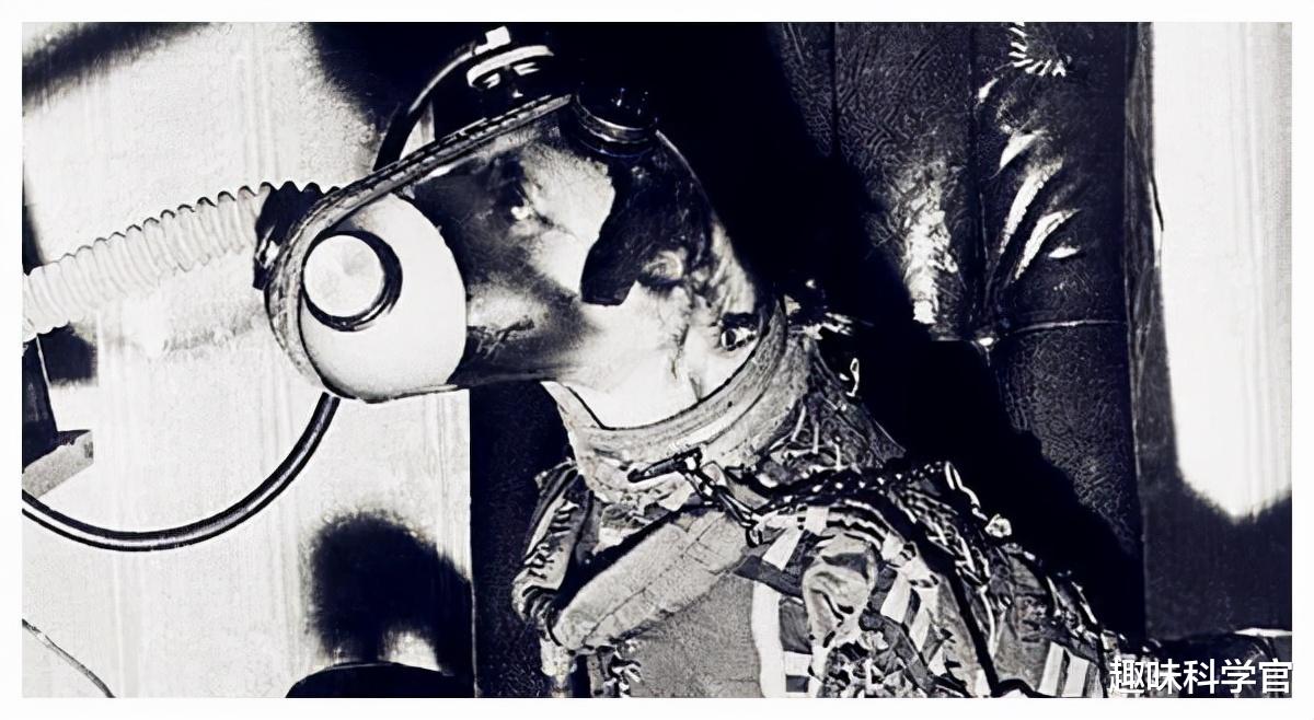 爱因斯坦 63年前，一条狗被人类送入太空，被称为英雄的它，“结局如何”？