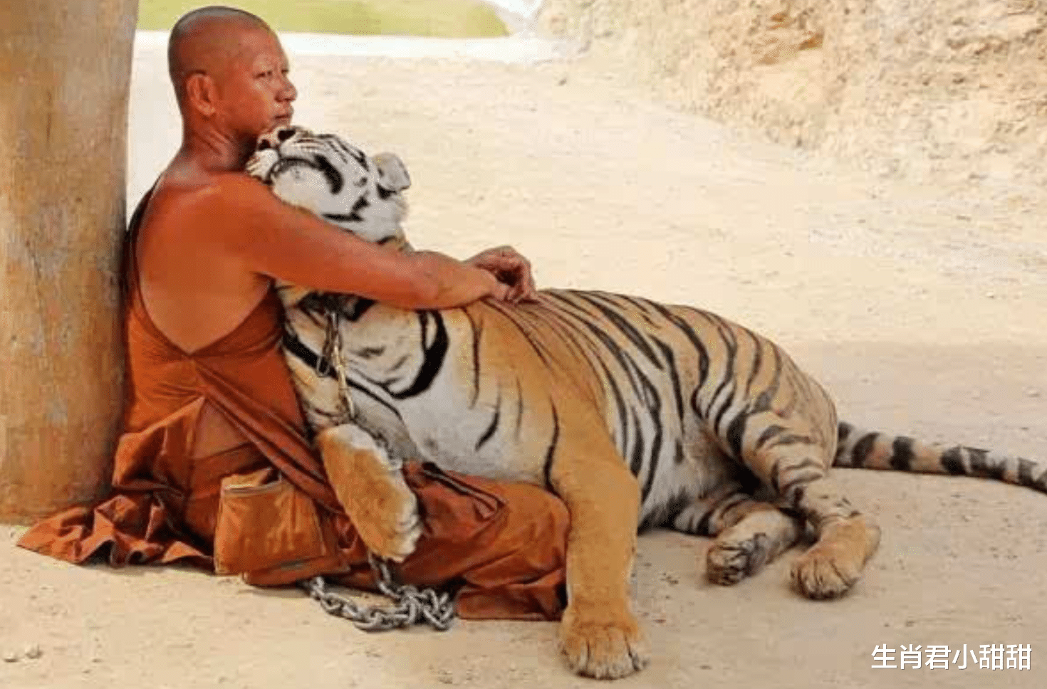 |遇到糟心事很正常，调整心态积极应对才明智，属虎人就深知这一点