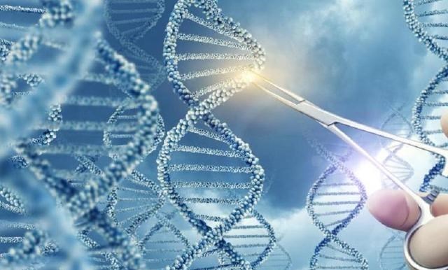 人类与猩猩基因相同?女科学家为验证以身试险,精神值得敬佩