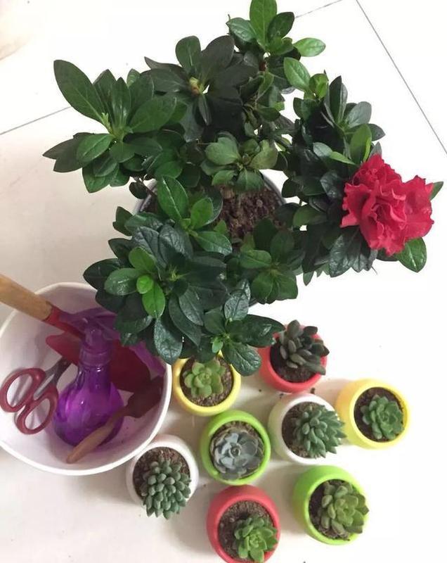 表姐70㎡小户型,装修简洁漂亮,面积虽小但一家三口住着很温馨