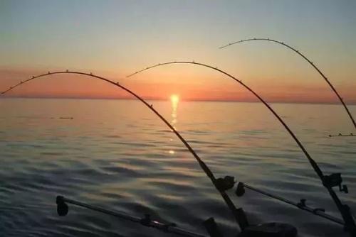 江苏省|如何应对垂钓过程中的突发状况