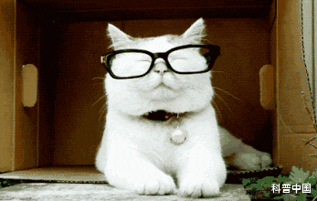 |看绿色真的可以保护视力吗？