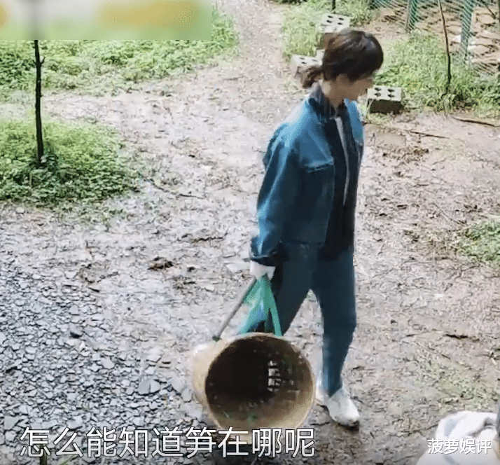 張藝興帶著楊紫挖筍，兩個人認真幹活的模樣，確實很圈粉-圖2