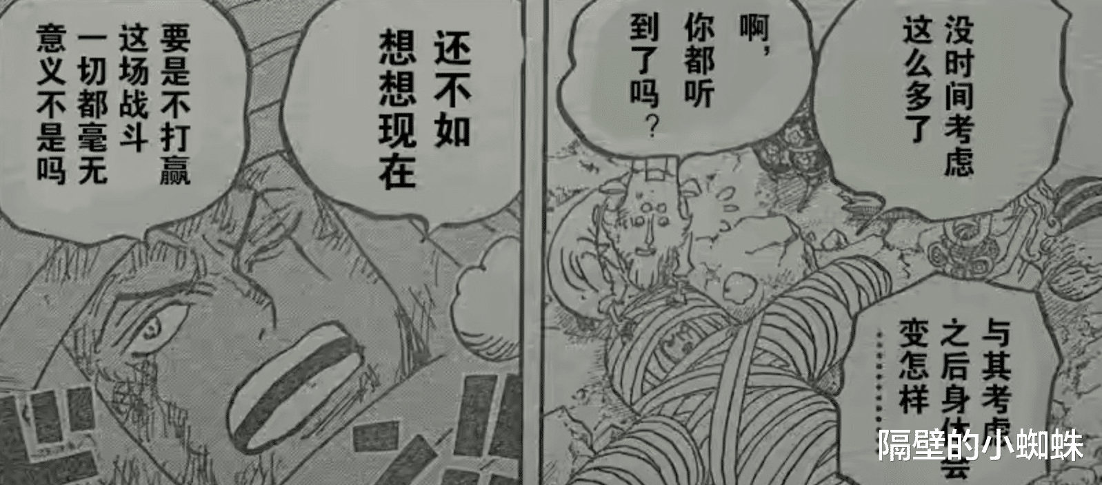 海贼王|海贼王，尾田埋了1000话的伏笔公布，“橡胶果实”有巨大秘密