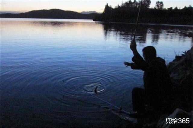 娃娃鱼|四川男子夜钓收获“四脚怪鱼”，害怕摊上事赶紧放生，网友：明智