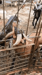 穿衣搭配 “闺蜜花2w烫了个发型,结果自拍晒到朋友圈,这谁顶得住啊!”