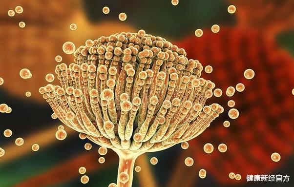 健康新经官方 50岁大姐肠胃不好，吃南瓜养胃，医生：“1物”养胃灭菌，比南瓜好10倍