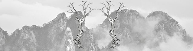 阿育王寺 苦行僧三步一跪，20个月“跪行”万里，手脚长满茧，只为为国祈福