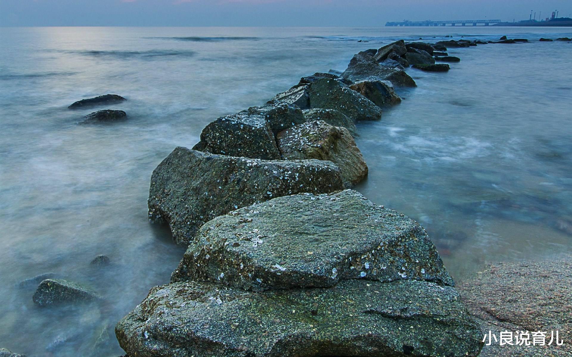 小良说育儿|理想等同于梦想吗